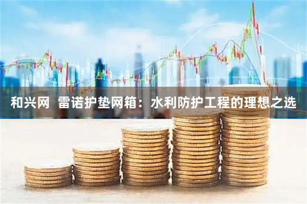 和兴网  雷诺护垫网箱：水利防护工程的理想之选